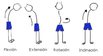 Movimientos de la espalda