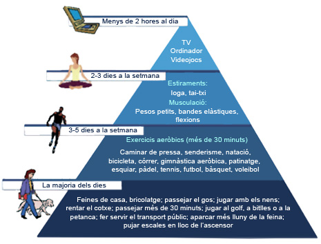 Piràmide activitat física en adults