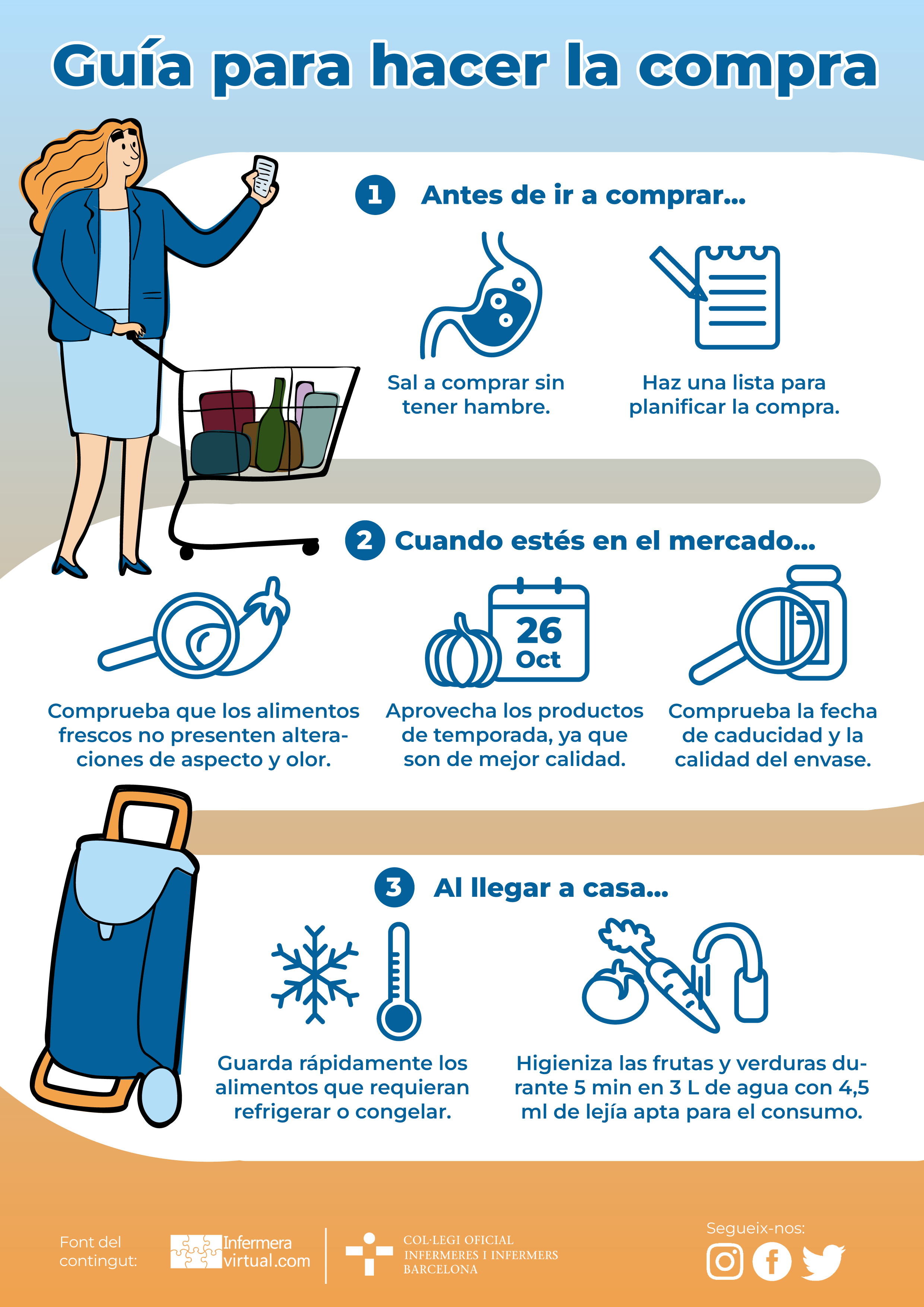 Infografía Guia para hacer la compra 