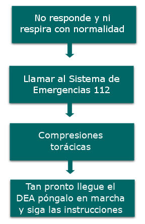 esquema rcp