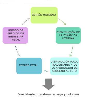 Fase latente o prodrómica larga y dolorosa