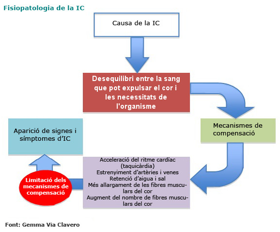 Mecanismes de compensació