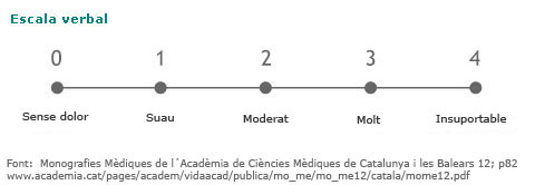 Escala verbal