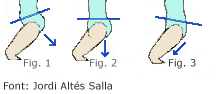 Exercici moviment de la pelvis