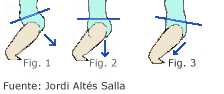 Ejercicio movimiento de la pelvis