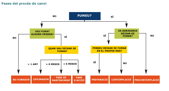 fases proces canvi.jpg