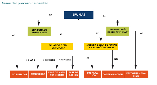 Fases del proceso de cambio - organigrama ¿fuma?