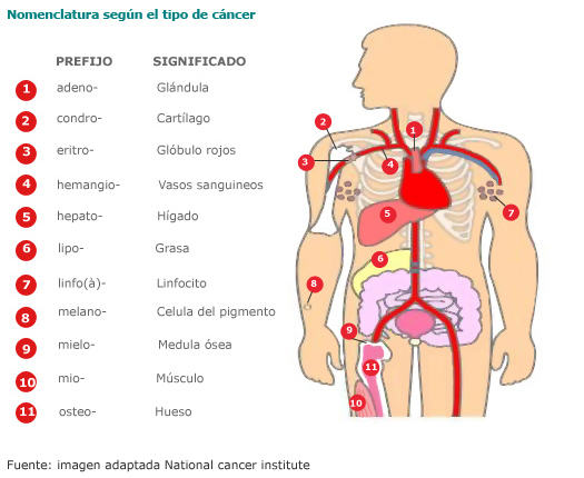 Nomenclatura según el tipo de cáncer